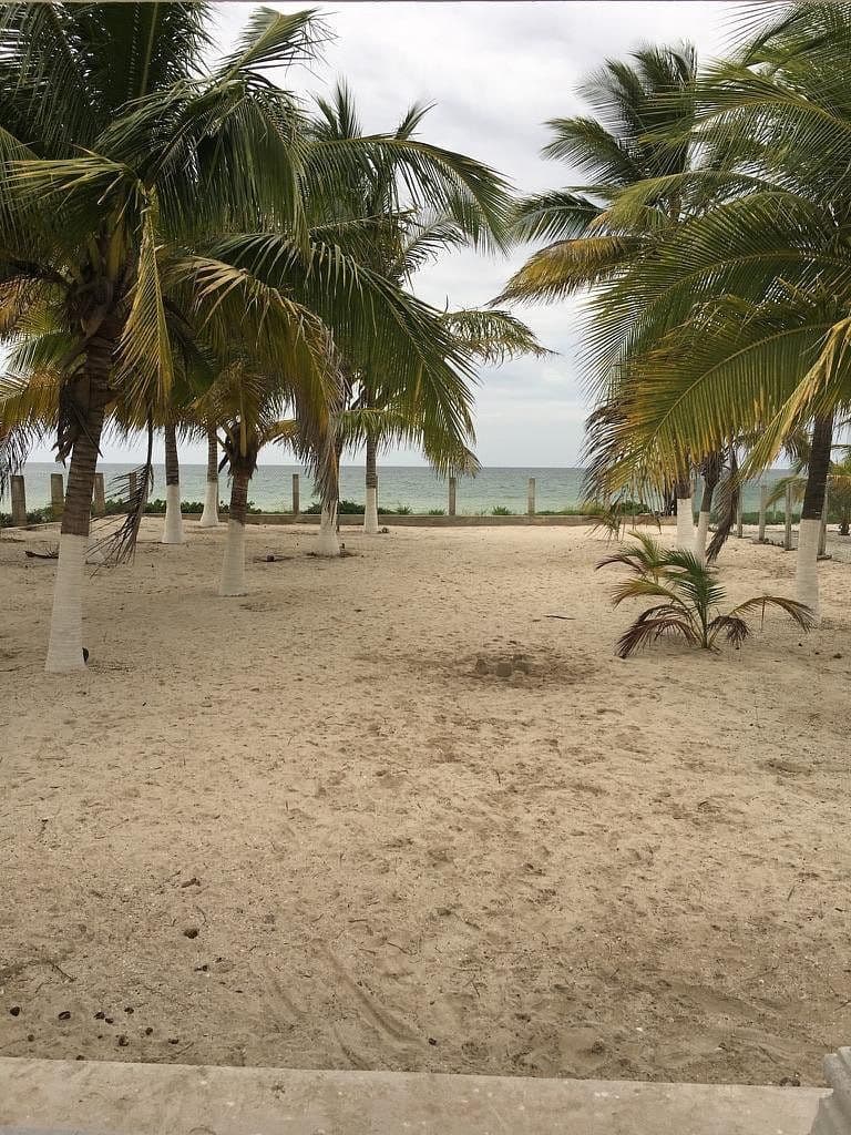 Terreno frente al mar en San Crisanto foto 3