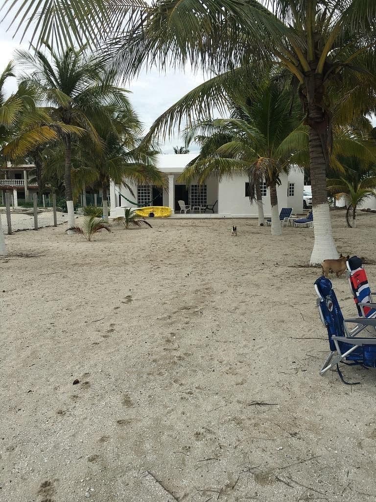 Terreno frente al mar en San Crisanto foto 6